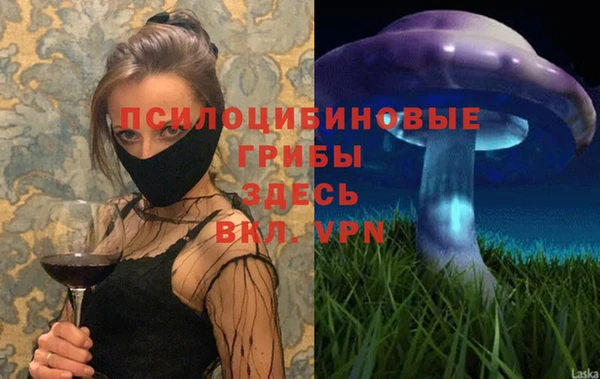 скорость Алексин