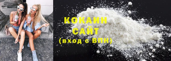 индика Пролетарск
