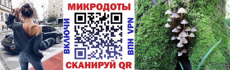 Псилоцибиновые грибы Psilocybine cubensis  закладки  Суворов 